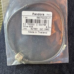 Pandora Unisex Oxidized Silver and Black Charm Bracelet